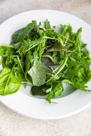 salad mix green leaves mix micro green, juicy healthy snack food on the table copy space food background rustic top view