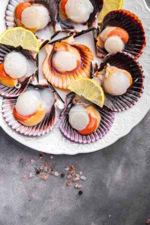 Foto de Fresh scallop shell seafood meal snack on the table copy space food background rustic top view - Imagen libre de derechos