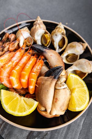 seafood plate assorted shrimps, crab claws, clams, rapan, trumpeter mollusk meal food snack on the table copy space food background rustic top view
