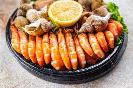 Photo for Fresh seafood plate snack shrimp, crab claw, clam, rapan, trumpeter mollusk meal food on the table copy space food background rustic top view - Royalty Free Image