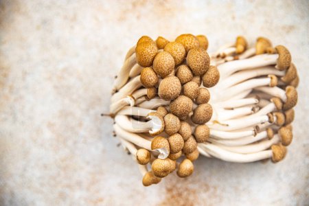 Photo for Shimeji brown mushroom food snack on the table copy space food background rustic top view - Royalty Free Image