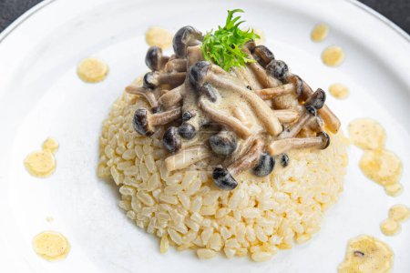 Reis Pilz Sause Risotto Mahlzeit Essen Snack auf dem Tisch kopieren Raum Lebensmittel Hintergrund rustikal Draufsicht