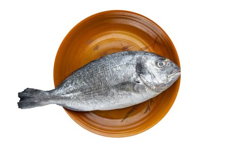 sea bream fish raw seafood fresh eating cooking meal food snack on the table copy space food background rustic top view