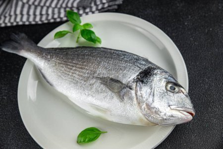 sea bream fish raw seafood fresh eating cooking meal food snack on the table copy space food background rustic top view