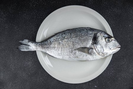 Dorade roh Fisch Meeresfrüchte frisch essen Kochen Mahlzeit Essen Snack auf dem Tisch kopieren Raum Lebensmittel Hintergrund rustikal Draufsicht