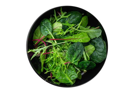 Healthy salad mix, leaves micro green, juicy snack healthy eating cooking appetizer meal food on the table copy space food background rustic top view keto or paleo diet vegetarian vegan
