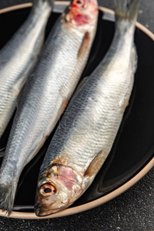Fisch Hering frische rohe Meeresfrüchte essen Kochen Mahlzeit Essen Snack auf dem Tisch kopieren Raum Lebensmittel Hintergrund rustikal Draufsicht 