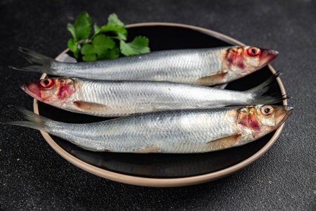Fisch Hering frische rohe Meeresfrüchte essen Kochen Mahlzeit Essen Snack auf dem Tisch kopieren Raum Lebensmittel Hintergrund rustikal Draufsicht 