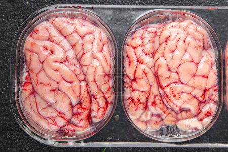 pork brain raw edible offal meat fresh food tasty eating cooking appetizer meal food snack on the table copy space food background