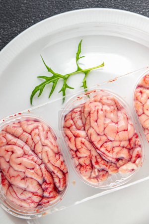 pork brain raw edible offal meat fresh food tasty eating cooking appetizer meal food snack on the table copy space food background
