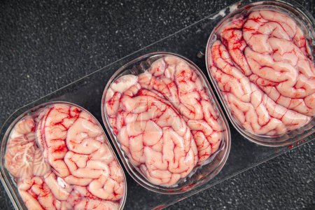 pork brains raw edible offal meat fresh food tasty fresh healthy eating cooking appetizer meal food snack on the table copy space food background rustic top view