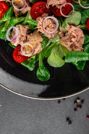 salad tuna, tomato, green leaf lettuce healthy eating cooking appetizer meal food snack on the table copy space food background rustic