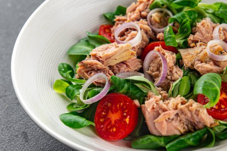 seafood salad tuna, tomato, green leaf lettuce, onion eating cooking appetizer meal food snack on the table copy space food background rustic top viewfood