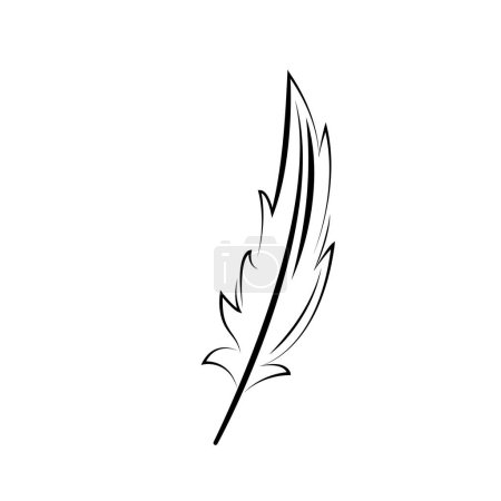 Illustration for Bird feather graphic black line minimalistic vector icon isolated on white background - Royalty Free Image