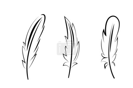 Illustration for Bird feathers graphic set, isolated on white background - Royalty Free Image