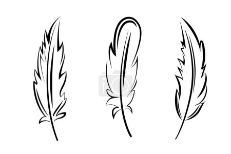 Ilustración de Set gráfico plumas pájaro, aislado sobre fondo blanco - Imagen libre de derechos