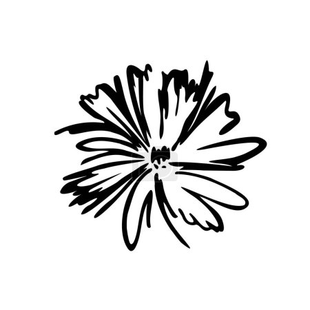 Téléchargez les illustrations : Croquis fleur isolée sur fond blanc - en licence libre de droit