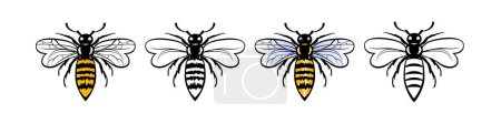Téléchargez les photos : Ensemble de quatre abeilles colorées isolées sur fond blanc - en image libre de droit