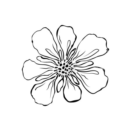 Illustration for Sketch flower isolated on white background - Royalty Free Image