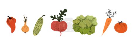 Illustration for Set of vegetables on white background. - Royalty Free Image