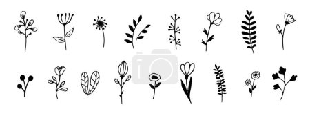 Illustration for Set of doodle-style hand drawings of plants and flowers. Botanical elements in black ink for card designs, postcards, templates, covers. Isolated vector illustration on white background. - Royalty Free Image