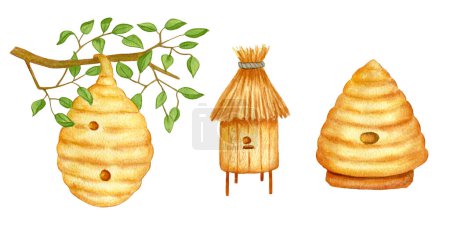 Foto de Set con colmenas de abeja. Acuarela Colmena de madera, Colmena silvestre en la rama del árbol. La ilustración está pintada a mano - Imagen libre de derechos