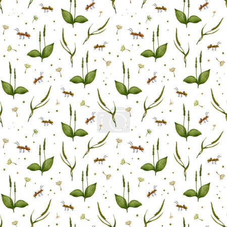 The ant and the plantain. Watercolor seamless pattern with insects, dandelion and plantain. For packaging, textiles, stationery and scrapbooking