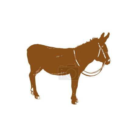 Téléchargez les illustrations : Graphique d'une mule d'âne isolée sur fond blanc. - en licence libre de droit