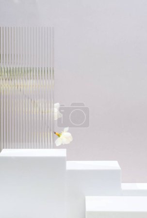 Téléchargez les photos : Bloc blanc présentoir de produit fond gris avec verre de bande de transparence moderne et fleur avec lumière du soleil - en image libre de droit