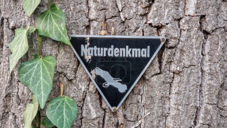 Foto de Señal monumento natural en el árbol - Imagen libre de derechos