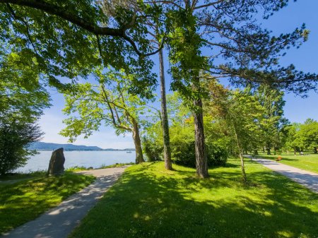  Radolfzell on Lake Constance Mettnau Park in summer