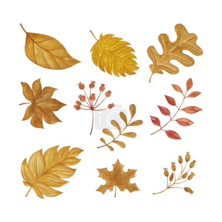 Set of dry leaf nature elements, hand drawn watercolor vector illustration for greeting card or invitation design