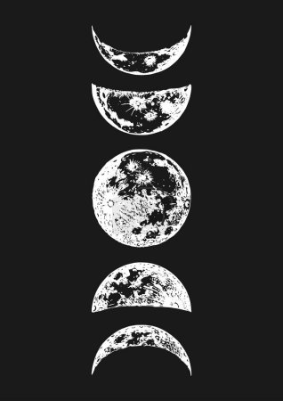Moon phases drawings in vector, hand drawn illustration of cycle from new to full moon