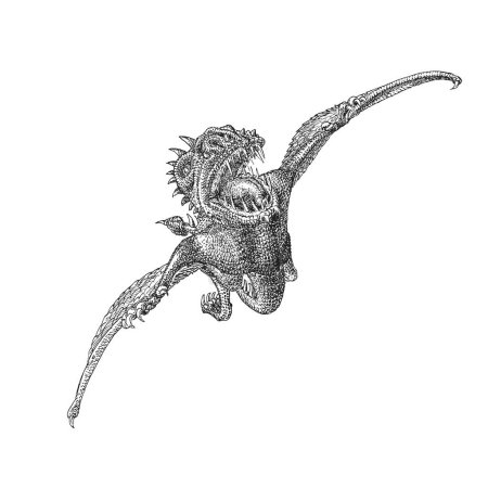 Foto de Pterodáctilo, Jurásico Pterosaurio en vuelo, ilustración vectorial en estilo grabado, dibujo dibujado a mano de dragón volador - Imagen libre de derechos