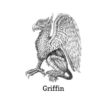 Foto de Griffin, ilustración vectorial en estilo grabado, boceto dibujado de criatura mística Gryphon - Imagen libre de derechos