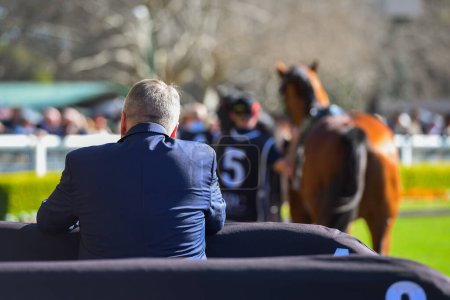 Téléchargez les photos : Spectateur sur la piste de course regardant les chevaux défiler dans le paddock - en image libre de droit