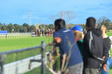 Téléchargez les photos : Spectateurs sur l'hippodrome regardant une course de chevaux se terminer - en image libre de droit