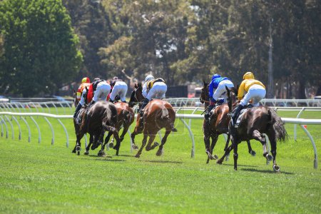 Foto de Carreras de caballos en Australia. Caballos con jinetes corriendo hacia la línea de meta. - Imagen libre de derechos