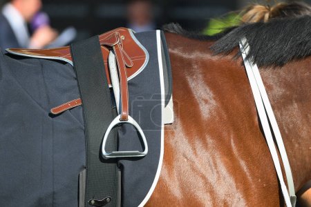 Foto de Primer plano de un caballo bajo una silla de carreras de cuero marrón - Imagen libre de derechos