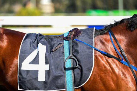 Téléchargez les photos : Gros plan d'un cheval sous une selle de course avec le numéro quatre - en image libre de droit