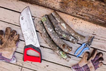 Rusty handsaw over a wooden boards background, logs of cut firewood, garden pruning shears and old dirty gloves.