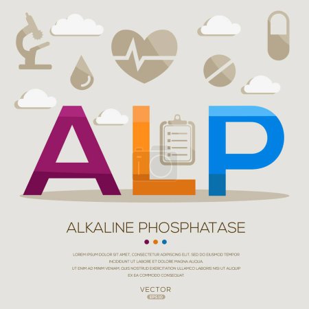 Ilustración de ALP _ Fosfatasa alcalina, letras e iconos, e ilustración vectorial. - Imagen libre de derechos