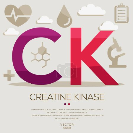 CK _ Creatina quinasa, letras e iconos, e ilustración vectorial.