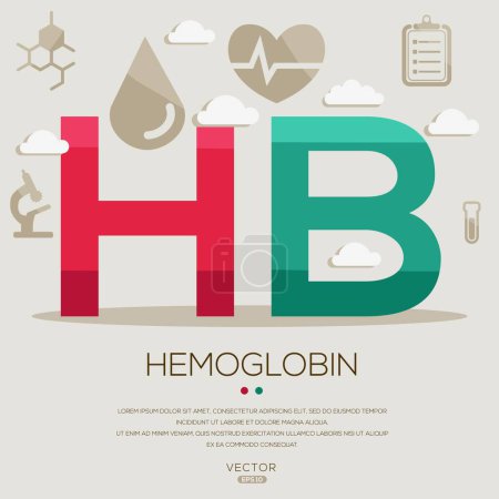 Hb _ Hemoglobina, letras e iconos, e ilustración vectorial.