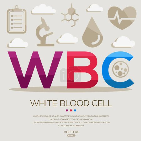 WBC _ White blood cell, letters and icons, and vector illustration.