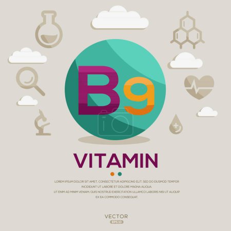 (Vitamin B9) Etikettendesign, enthält Buchstaben und Symbole, Vektorillustration.