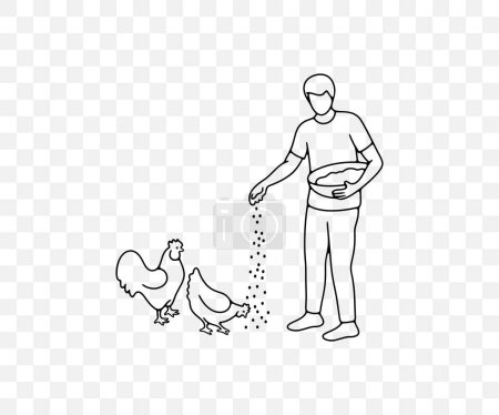 Illustration for Man feeds chickens grain from the basket, rooster and hen, linear graphic design. Animal, bird, agriculture, farm, chicken coop and poultry yard, vector design and illustration - Royalty Free Image
