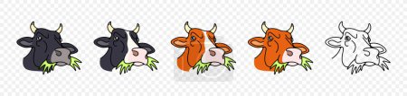 Dairy cow and cow, chews grass or hay, graphic design. Livestock, cattle breeding, animal and pet, dairy and milk, vector design and illustration