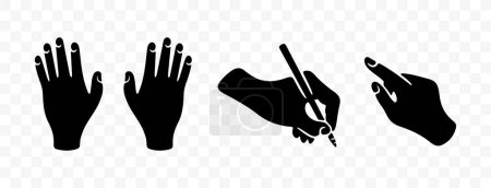 Illustration for Hands, writes with pen and points with index finger, graphic design. Arm and wrist, people, body parts, vector design and illustration - Royalty Free Image