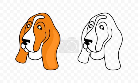 Illustration for Dog head, basset hound breed, graphic design. Animal, pet, hound, dog, vector design and illustration - Royalty Free Image